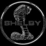 Shelby parts