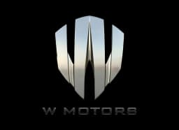 W Motors parts