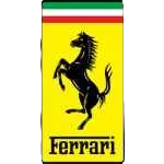 Ferrari parts